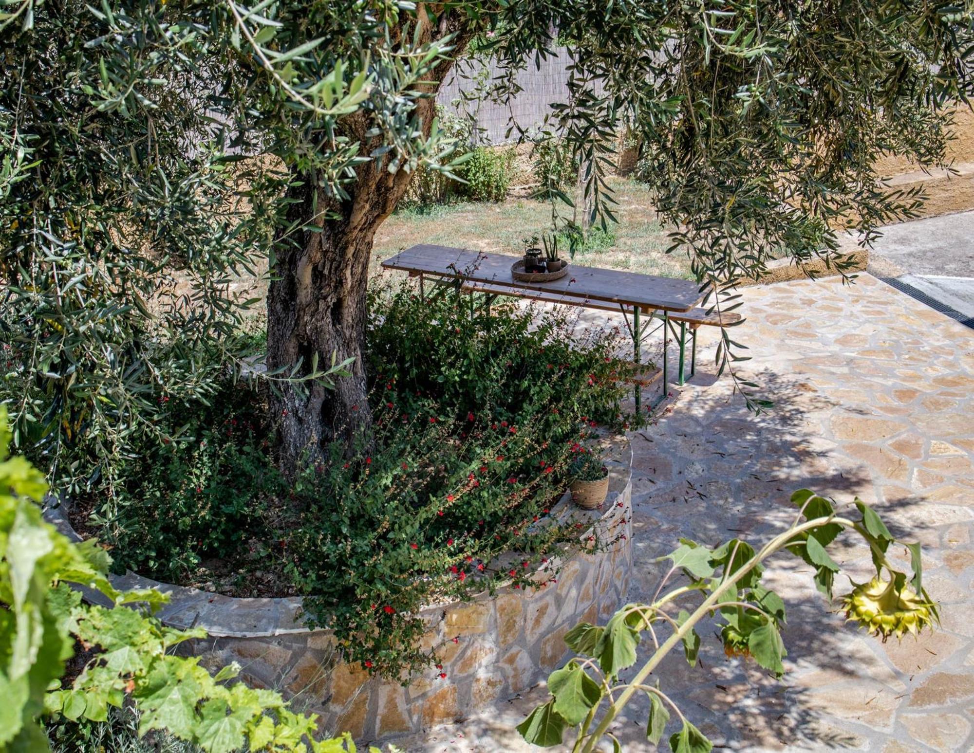 Dom wakacyjny Agrikia House Agros (Corfu)